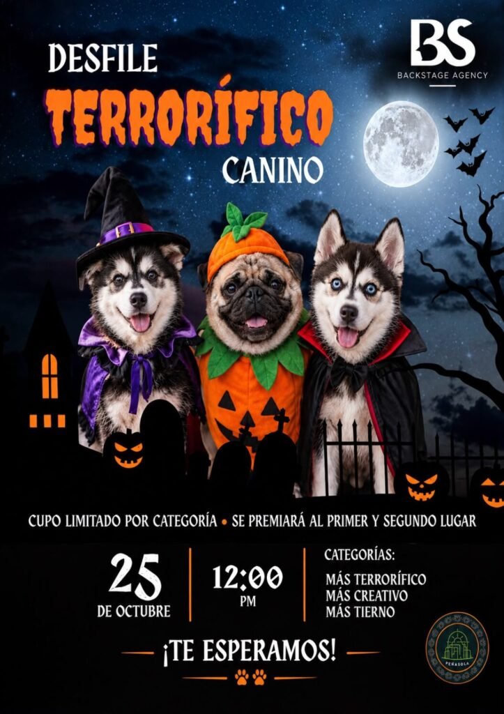 TerrorBs